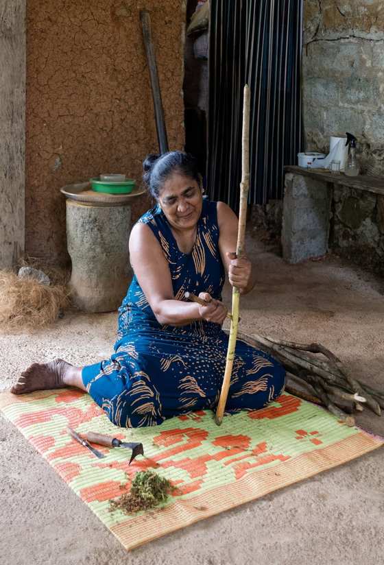 බලපිටියේදී අතින් කුරුඳු පොත්ත ඉවත් කිරීම