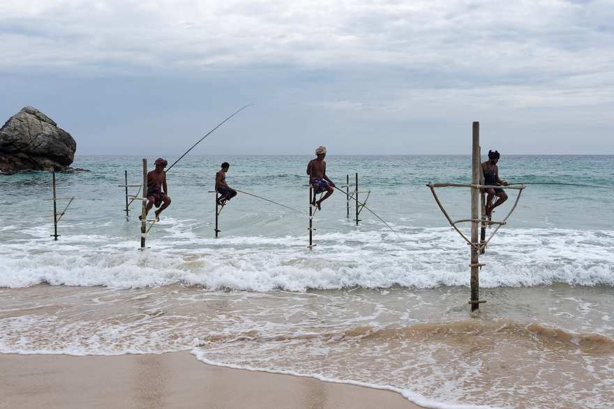 Stilt fishermen on the coast near Galle, southern Sri Lanka